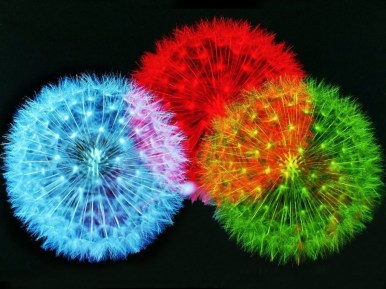 color-fireworks